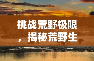 挑战荒野极限，揭秘荒野生存21天不打马赛原版：如何依赖自然资源度过危机