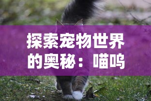 (虚空物语下载)虚空物语作为一款备受玩家喜爱的游戏，其突然宣布关服，无疑给广大玩家带来了不小的震撼。关于关服的原因，众说纷纭。本文将从多个角度分析关服的补充内容，并提出相关问题。