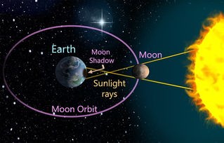 (天天枪战下架了吗)天天枪战下架了吗？——全方位解析与常见问答