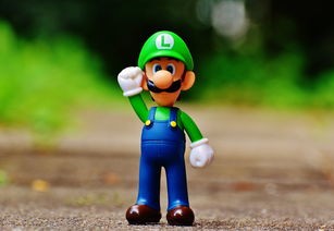 (感染屋敷2下载地址)感染屋敷，一个引人深思的日本文化现象