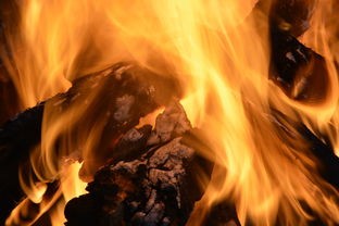 (宋凯旋个人资料简介)宋凯结束欧洲考察后抵达厦门，全球化视野下的产业布局与未来展望