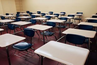 (茶叶蛋大冒险15关攻略视频)茶叶蛋大冒险15关，探寻神秘茶香之旅
