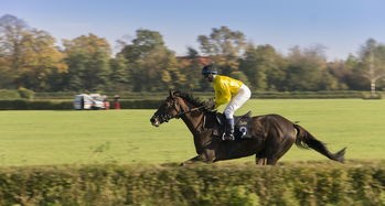 (迷你枪战精英体验服下载安装)迷你枪战精英体验，深度解析与常见问题解答