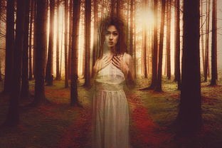 (物语系列单机游戏推荐)物语系列单机游戏，探索与反思