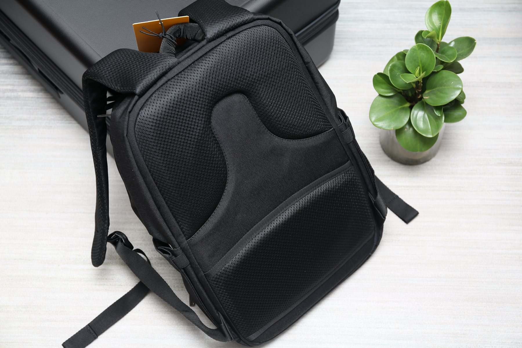 完美收纳挑战无限金币版下载-完美收纳挑战无限背包无限血下载v.5.82